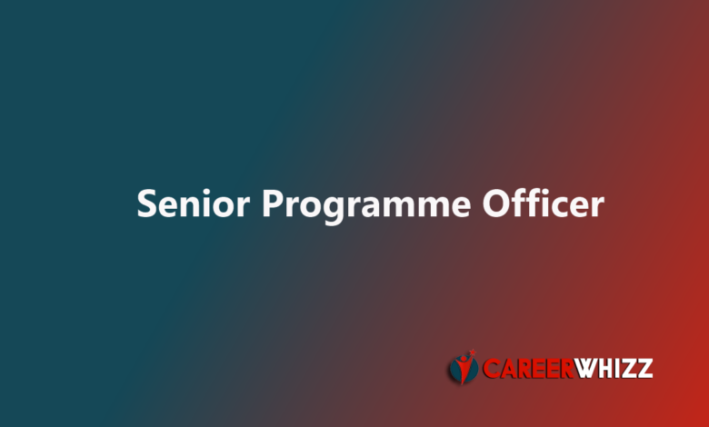 Available job of Senior Programme Officer in Lahore pakistan