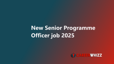 Latest available job of Senior Programme Officer in Lahore