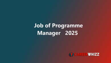 New job of Programme Manager in Lahore