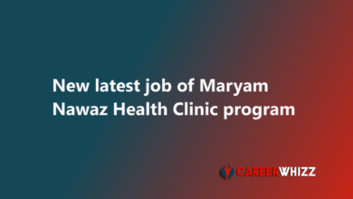 Maryam Nawaz Health Clinic Program in Punjab for Doctors avilable jobs