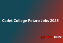 Cadet College Petaro 2025 Clerk, Caretaker, Caterer Compounder Latest jobs available