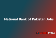 Job in National Bank of Pakistan Managers, Risk Analyst Others latest available
