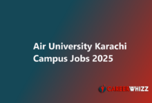 Air University Karachi Campus May 2025 Teaching Faculty Others Latest jobs available