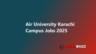 Air University Karachi Campus May 2025 Teaching Faculty Others Latest jobs available