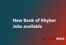 Bank of Khyber Jobs May 2025 Relationship Managers Others BOK latest job available