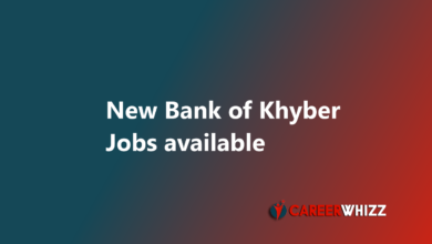 Bank of Khyber Jobs May 2025 Relationship Managers Others BOK latest job available