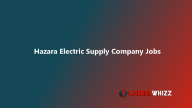 Hazara Electric Supply Company Jobs 2025 May WAPDA ETEA Apply Online Commercial Assistants, Line Superintendent & Others HAZECO Latest