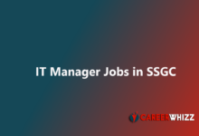New IT Manager Jobs in SSGC May Sui Southern Gas Company Limited latest