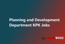 New job of Planning and Development Department KPK May 2025 June Research Analysts Others Public Private Partnership Unit