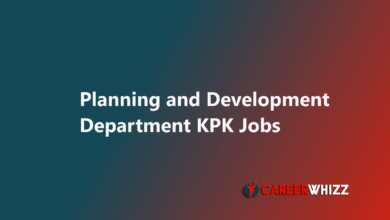 New job of Planning and Development Department KPK May 2025 June Research Analysts Others Public Private Partnership Unit