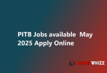PITB Punjab Information Technology Board Latest jobs available Pakistan 2025