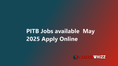 PITB Punjab Information Technology Board Latest jobs available Pakistan 2025