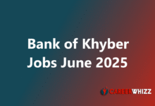 New Bank of Khyber Jobs June 2025 Audit Officers, Branch Manager and Others BOK