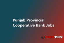 New job of Punjab Provincial Cooperative Bank june 2025 in Pakistan apply online
