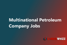 New job in Multinational Petroleum Company in Pakistan 2025 Petroleum / Admin Director and Others