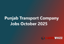 Latest Punjab Transport Company Jobs Deputy,Managers and Others PTC