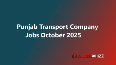 Latest Punjab Transport Company Jobs Deputy,Managers and Others PTC