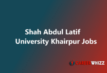 New job in Shah Abdul Latif University Khairpur SALU Software Developer and Others