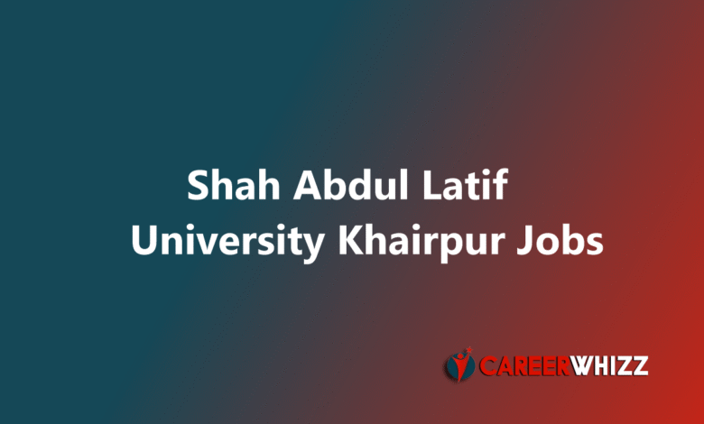 New job in Shah Abdul Latif University Khairpur SALU Software Developer and Others