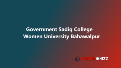 New job of Government Sadiq College Women University Bahawalpur Teaching Faculty